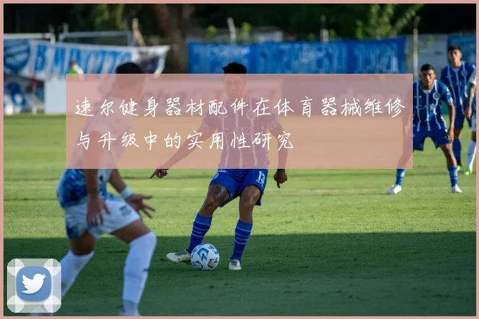 速尔健身器材配件在体育器械维修与升级中的实用性研究