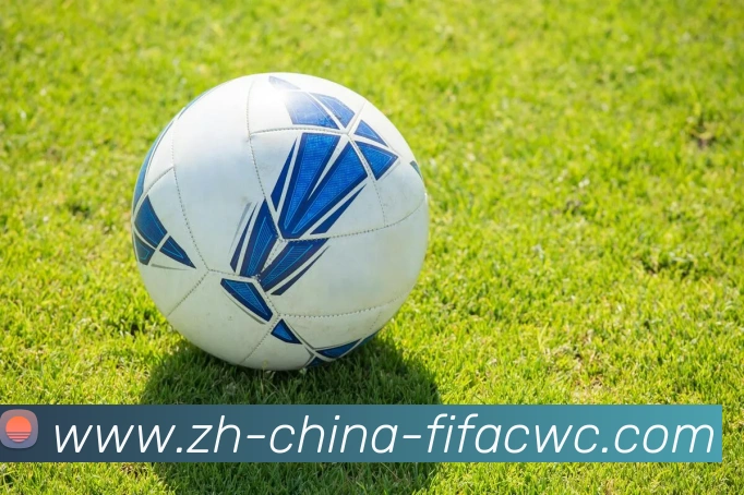 世界杯买球APP 封面图