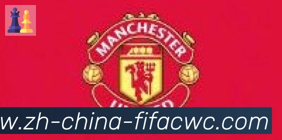 世界杯买球合作伙伴